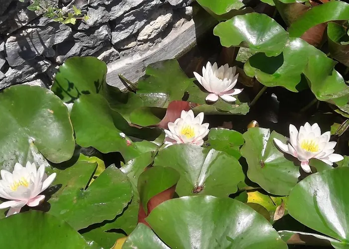 Casa Santo Stefano * Cernobbio